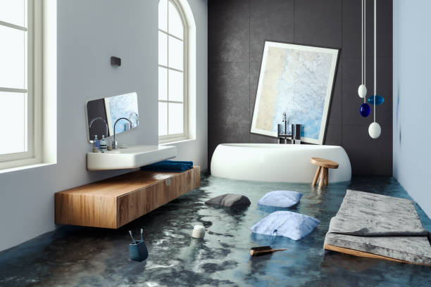 Carpet water damage restoration in Carlisle, IA