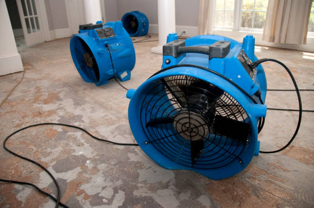 Professional Water damage restoration in Carlisle, IA